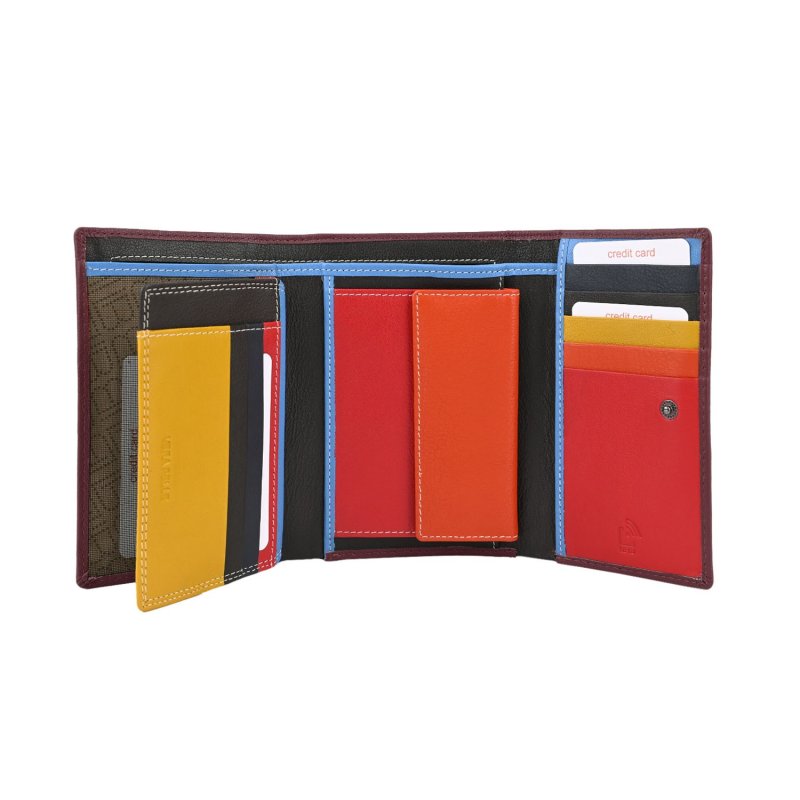 LAURA BIAGIOTTI CARTERA MUJER PIEL INTERIOR MULTICOLOR 764-31 — vista 17